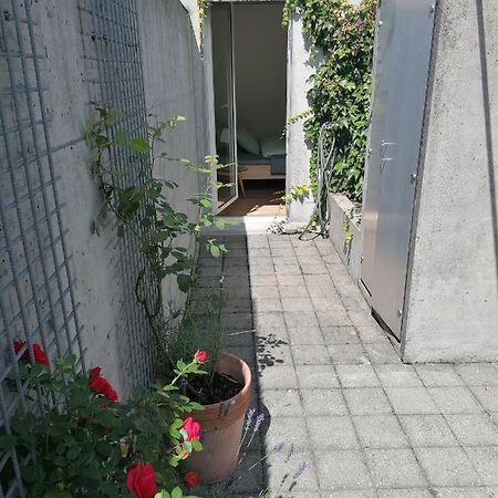 Gastezimmer Fischergarten Solothurn Eksteriør billede