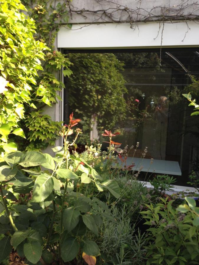 Gastezimmer Fischergarten Solothurn Eksteriør billede
