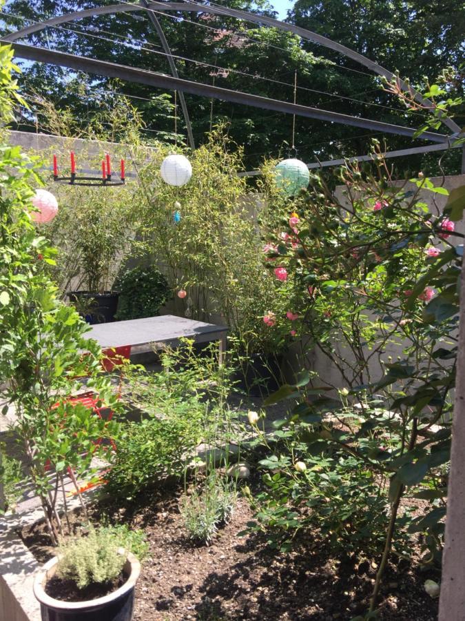 Gastezimmer Fischergarten Solothurn Eksteriør billede