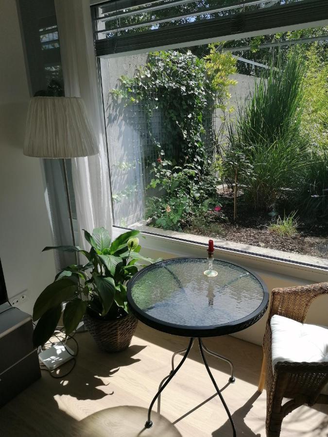 Gastezimmer Fischergarten Solothurn Eksteriør billede