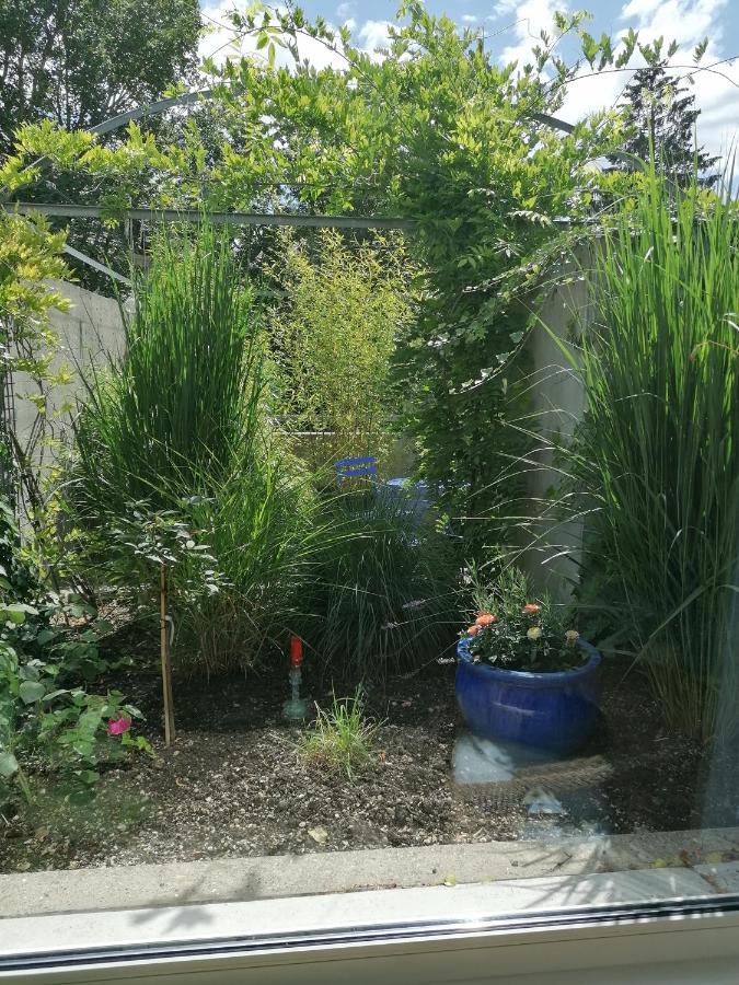 Gastezimmer Fischergarten Solothurn Eksteriør billede